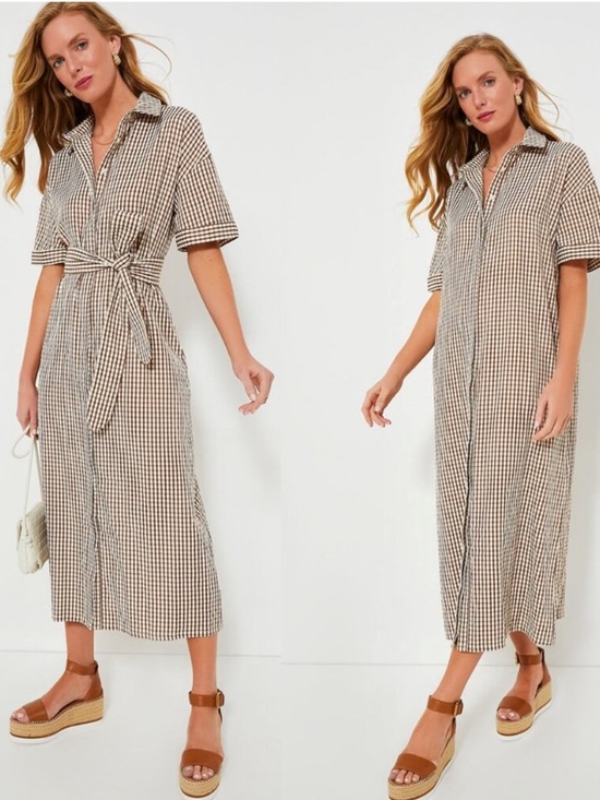 Pomander Place Dresses & Skirts - Pomander Place NEW Brown Gingham Seersucker Zacara Maxi Dress Size Medium